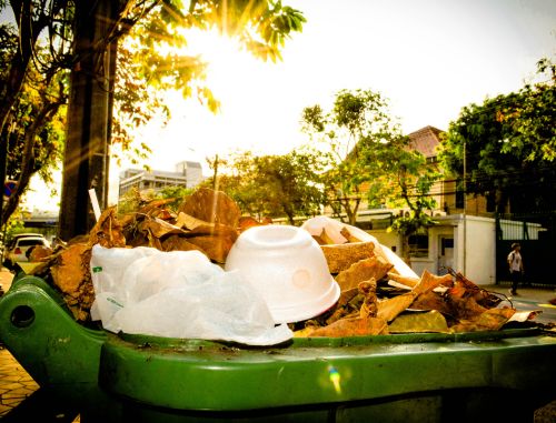 Close Up Fresh Food Plate Against Sky
