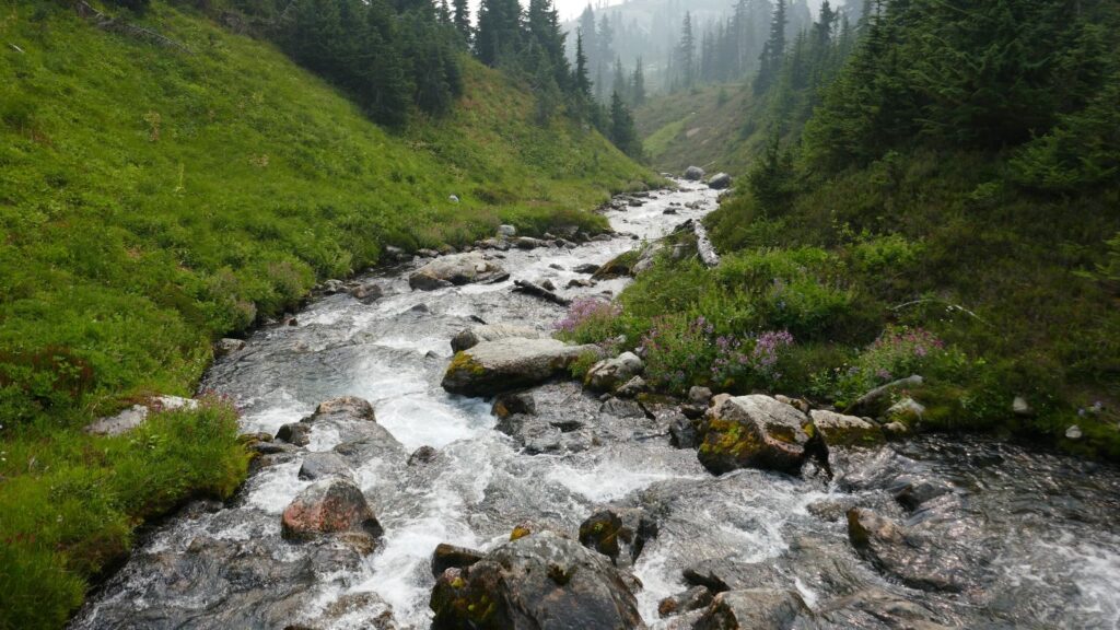 Conserving Natural Resources