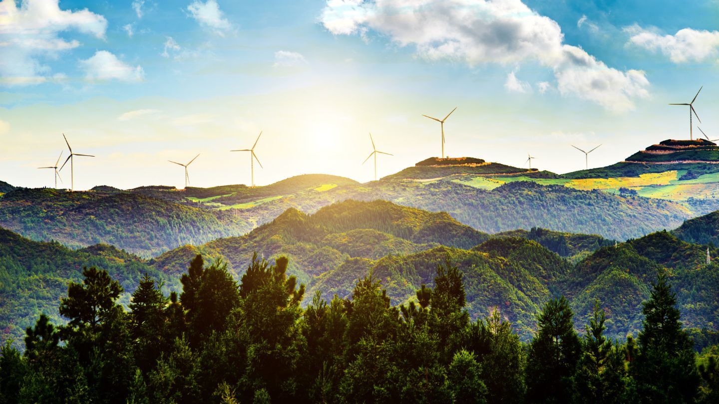 The Environmental Impact of Proper Waste Management Practices