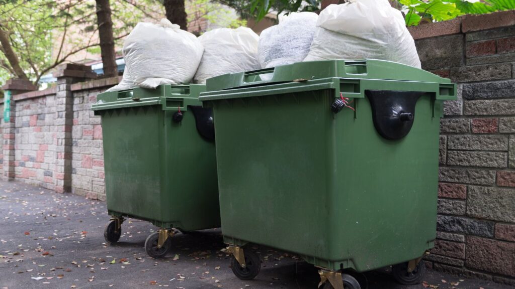 Cleaning and Maintaining Trash Cans
