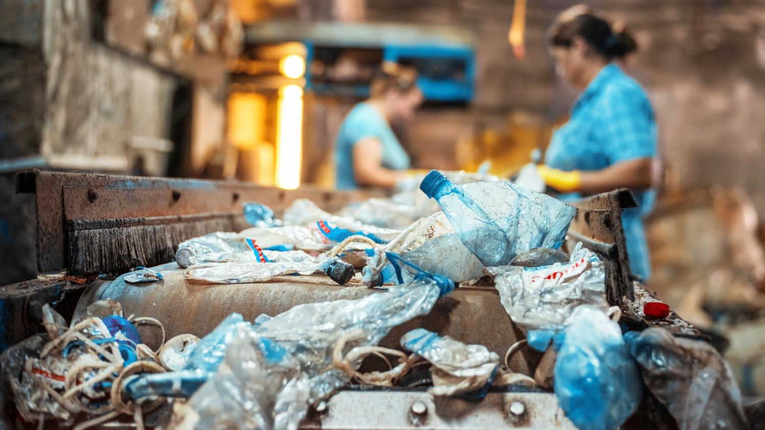 Workers Separating Recyclable Plastic Materials